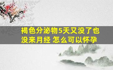 褐色分泌物5天又没了也没来月经 怎么可以怀孕